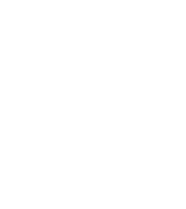 Tatadidas model alb pe tricou
