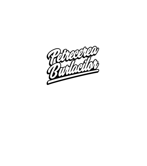 petrecerea burlacilor model albastru închis pe tricou