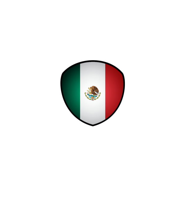 MEX-jabulani-flag model alb pe tricou