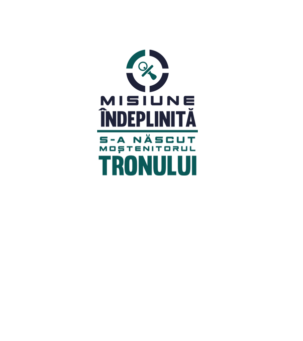 Misiune îndeplinită model gri pe tricou