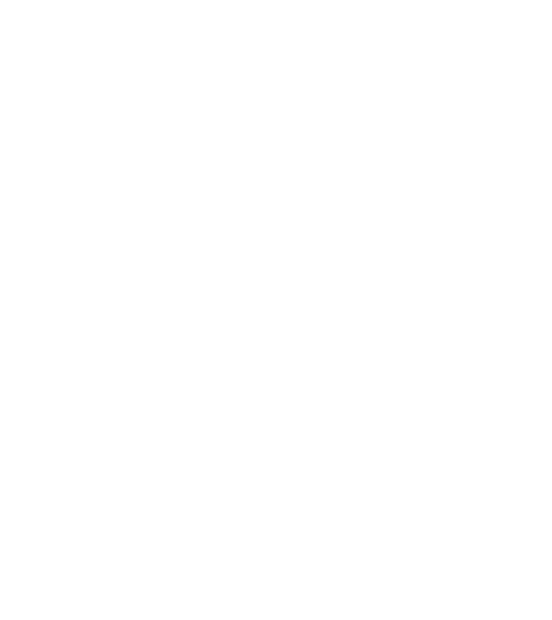 Crazy Cat Ladies are born in December model negru pe tricou