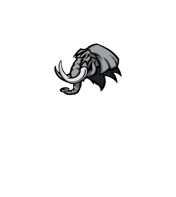 Elephant model galben neon pe tricou