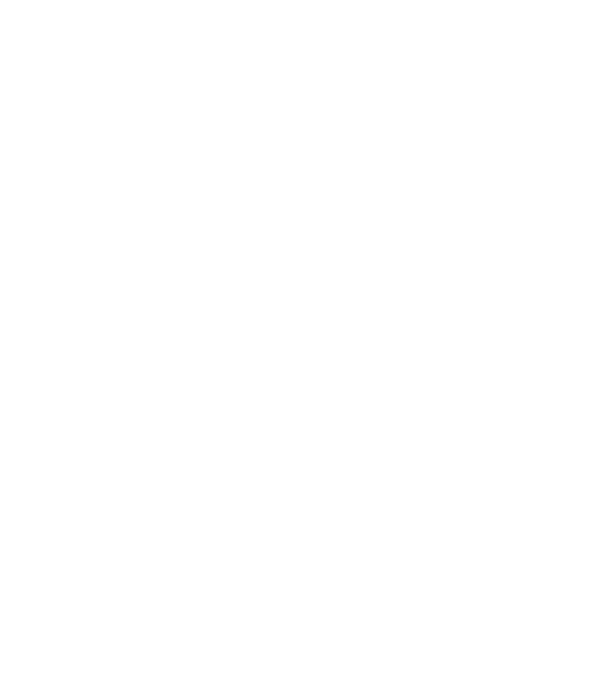 Crazy Cat Ladies are born in January model negru pe tricou