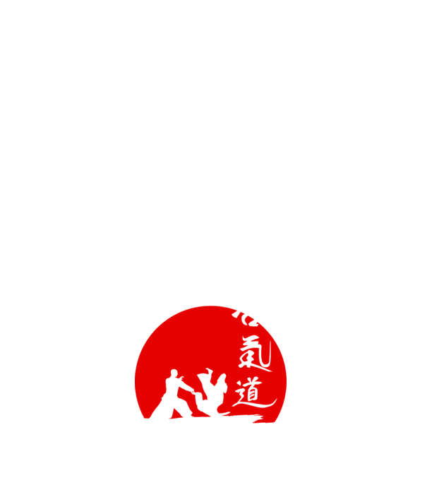 Aikido model alb pe tricou