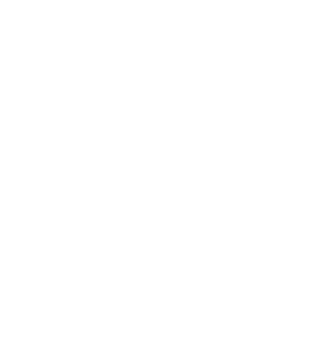 ChatoliCoke model bordo pe tricou
