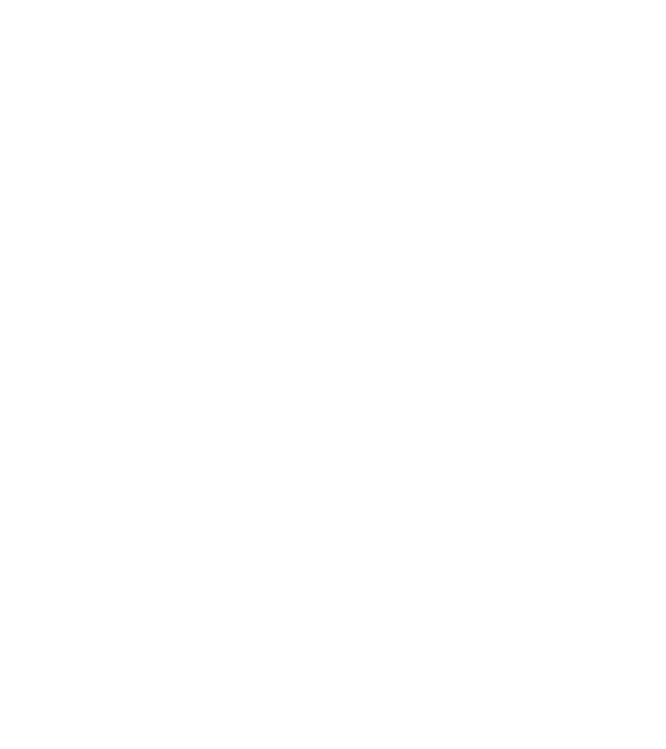 Crazy Cat Ladies are born in February model negru pe tricou