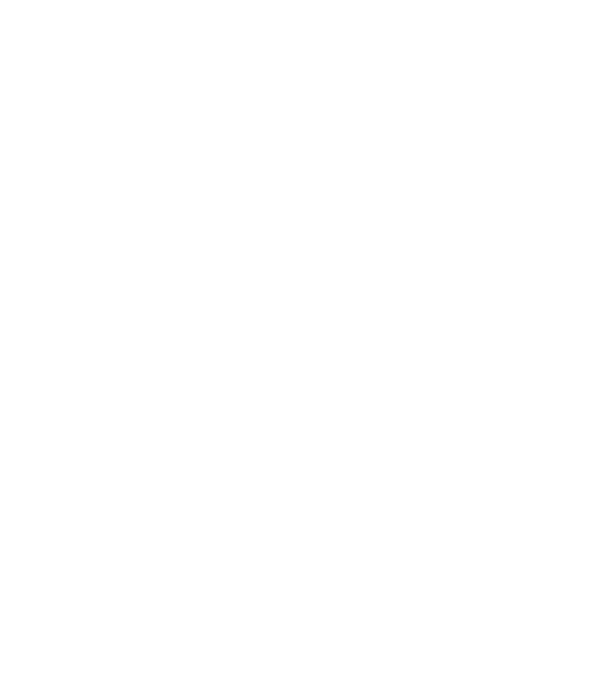 EarthLogo model negru pe tricou