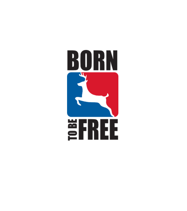 born to be free model gri pe tricou