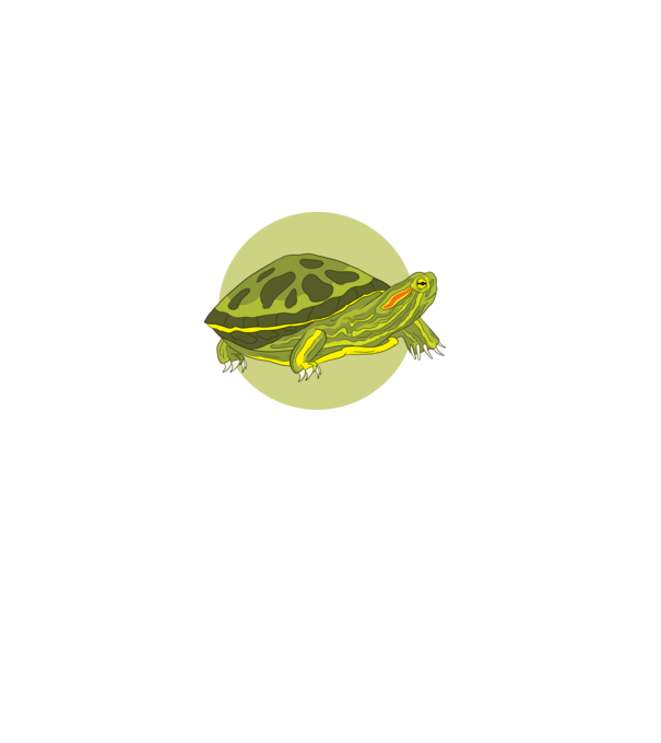 Turtle model negru pe tricou