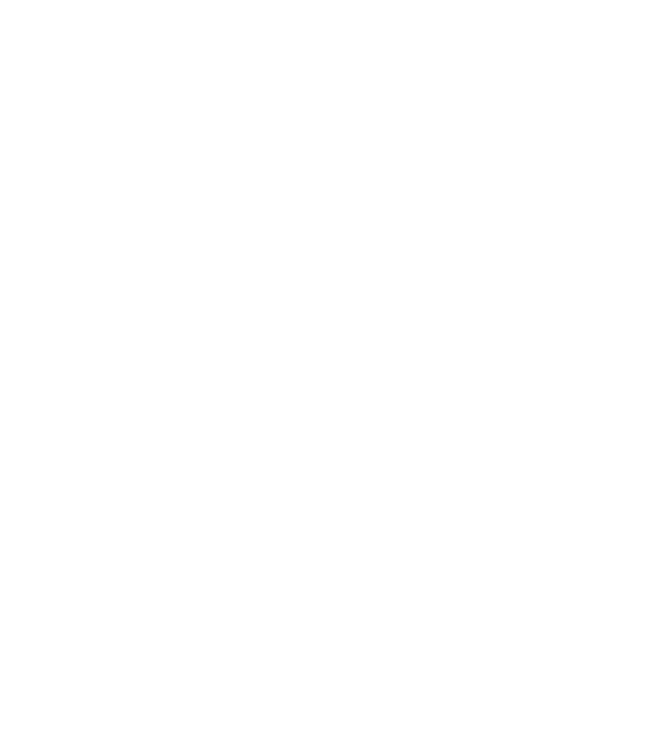 Da Vinci model alb pe tricou