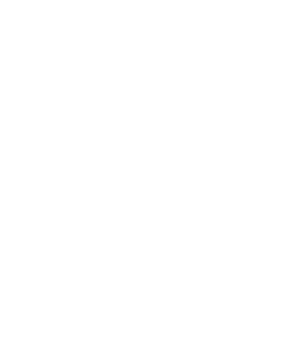 Crazy Cat Ladies are born in June model gri pe tricou