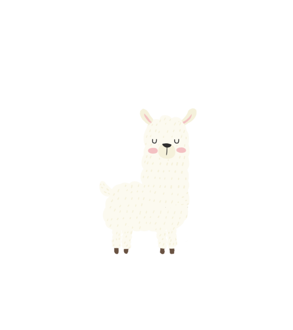 Alpaca model alb pe tricou