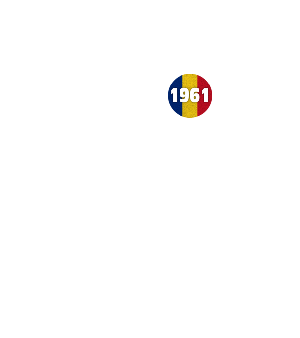 made in 1961 retro vintage model negru pe tricou