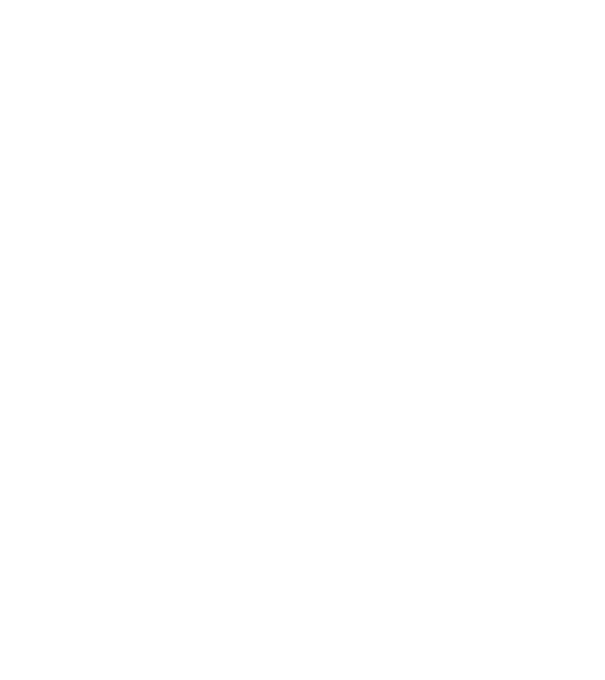Respect the fish model albastru închis pe tricou