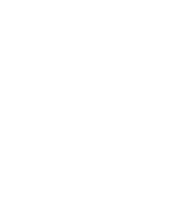 Playing cards King of spades model negru pe tricou