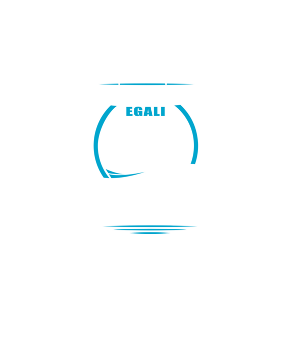 Toți bărbații se nasc egali camioane model turcoaz pe tricou