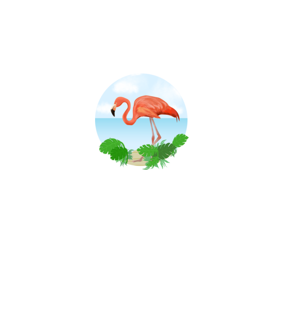 Flamingo model alb pe tricou
