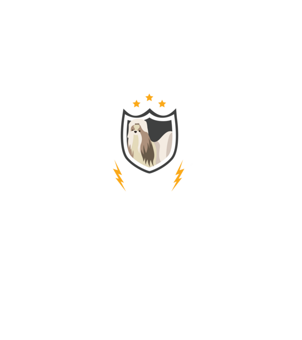 serviciu de securitate - securitate - persistență - 24 de ore pe zi model negru pe tricou