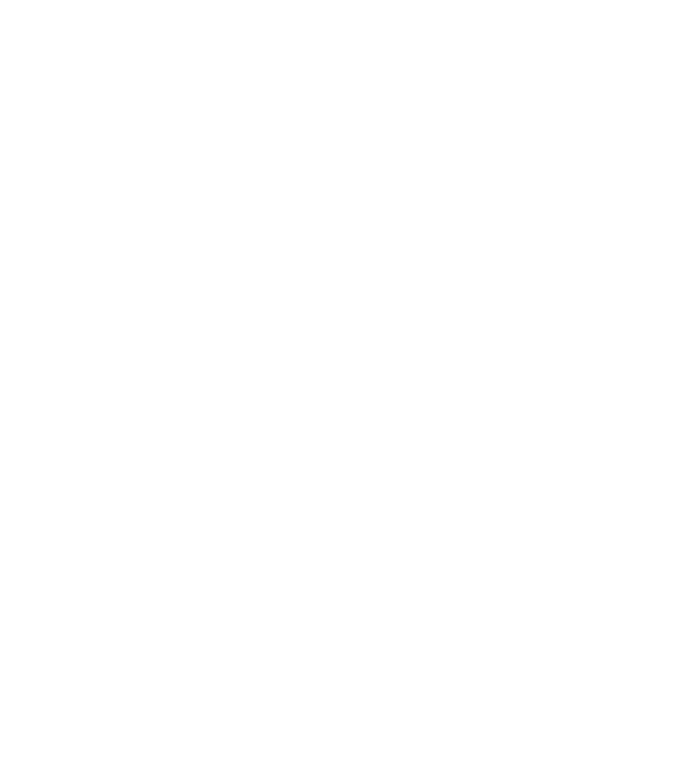 Heartbeat line Border Collie model turcoaz pe tricou