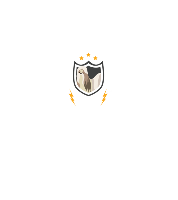 serviciu de securitate - securitate - persistență - 24 de ore pe zi model negru pe tricou