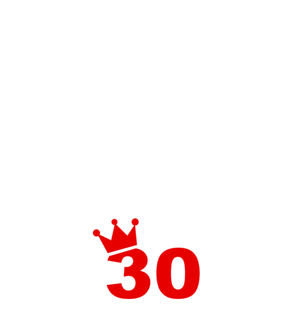 Dog Year - 30 model negru pe tricou