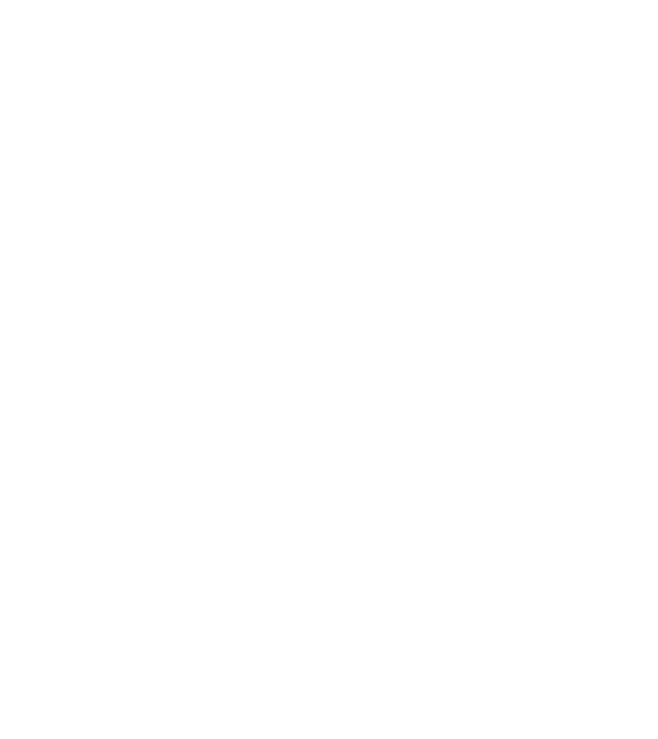 demodog logo model negru pe tricou