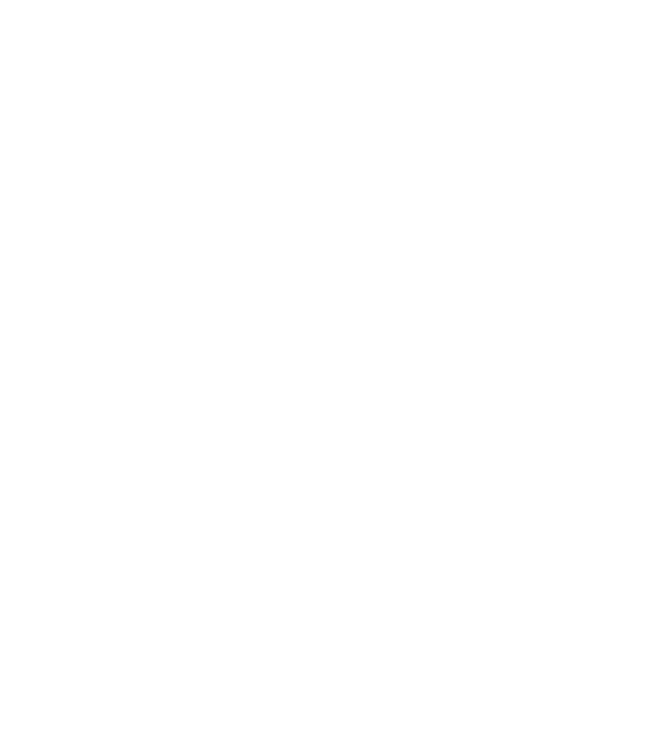 The Boss model albastru închis pe tricou