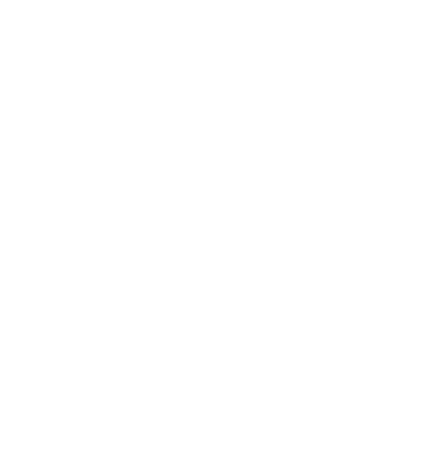 petrecerea burlacilor - memorabilă - cea mai mare petrecere a deceniului model negru pe tricou