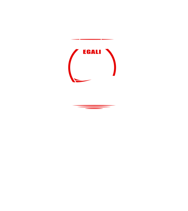 Toți bărbații se nasc egali tatuatori model gri închis pe tricou