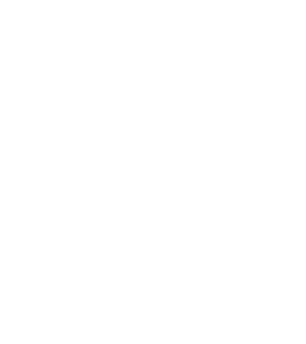 Alive since 1999 model negru pe tricou
