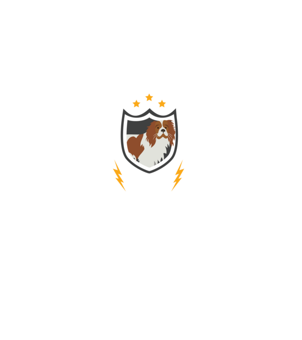 serviciu de securitate - securitate - persistență - 24 de ore pe zi model negru pe tricou