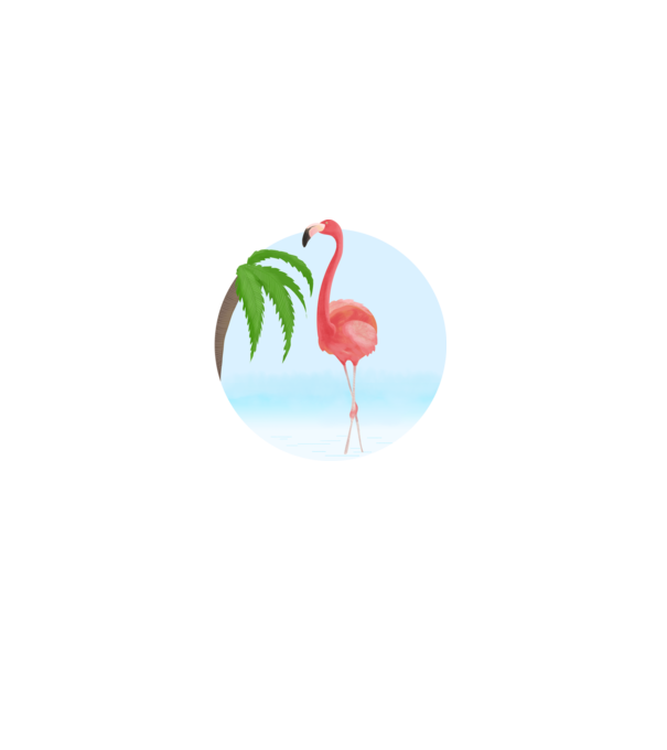 Flamingo model alb pe tricou