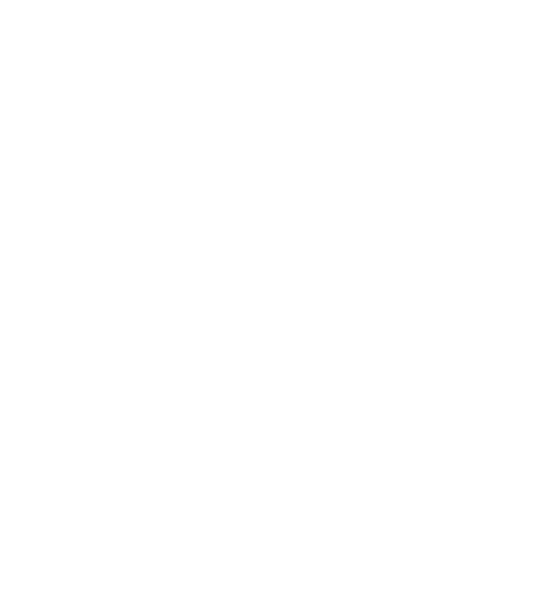 Alive since 1999 model negru pe tricou