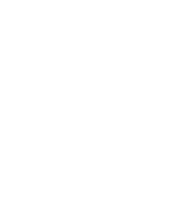 chitară evolution model negru pe tricou