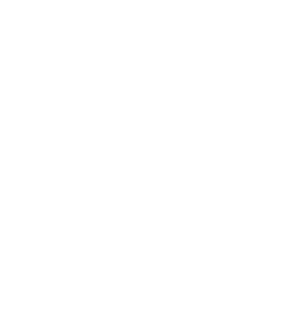 nimeni nu e perfect, dar stăpânii de chivava sunt foarte aproape model negru pe tricou