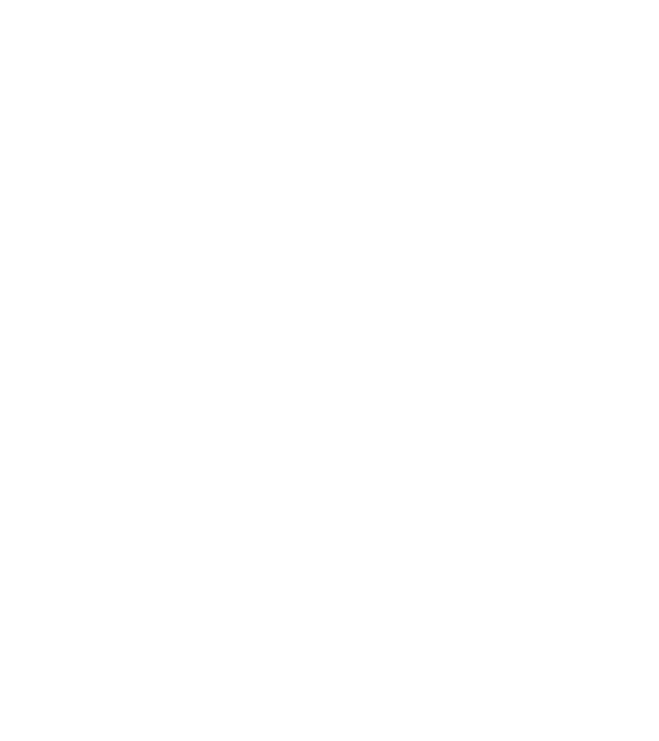 Alive since 1999 model negru pe tricou