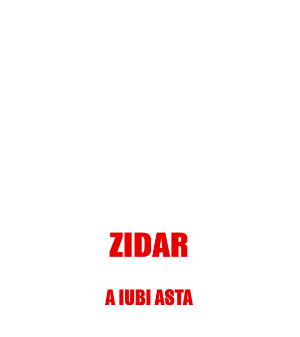 Sunt suficient de priceput pentru a fi ZIDAR și suficient de nebun pentru a iubi asta model albastru închis pe tricou