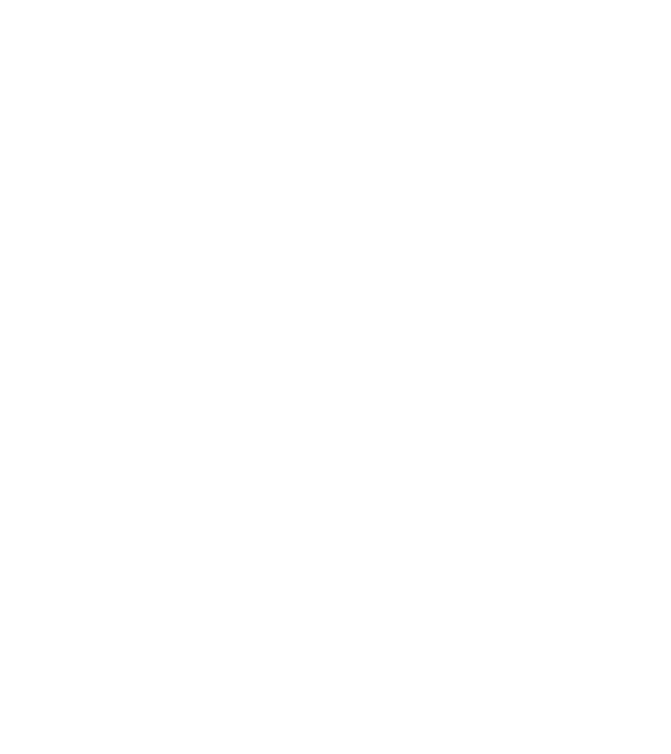 All men are created equal but only the best are born in february model negru pe tricou
