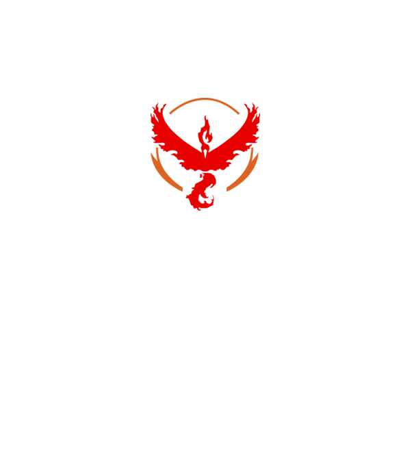 Valor team logo model alb pe tricou