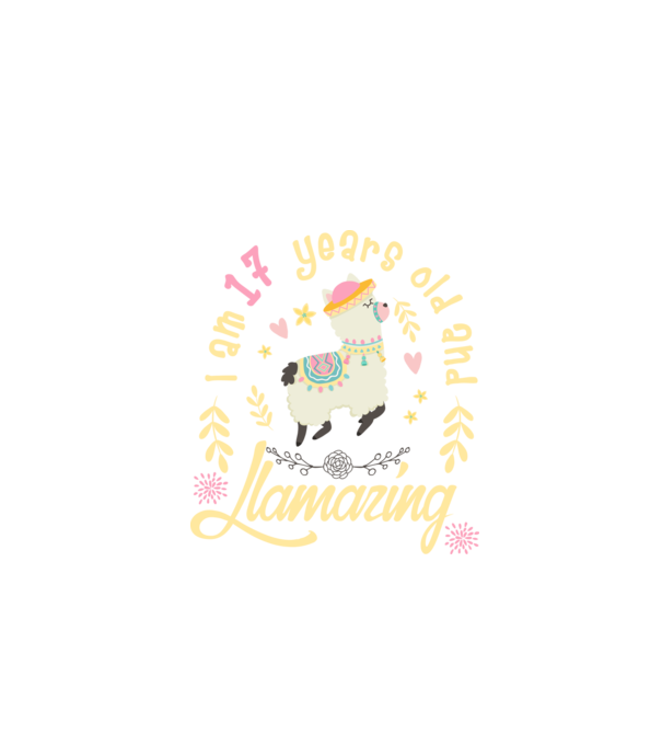 Birthday Llamazing 17 years old model negru pe tricou