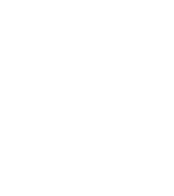 nu. tot nu sunt căsătorită. model negru pe tricou