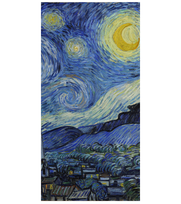 Van Gogh Starry night model alb pe tricou