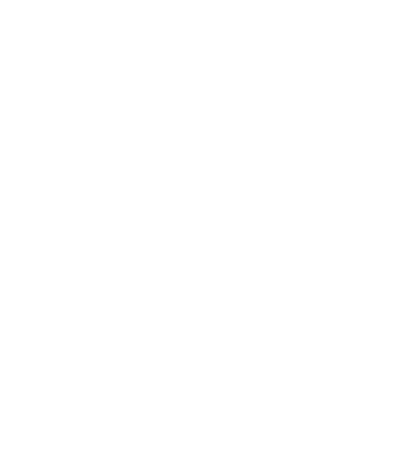 Freedom model turcoaz pe tricou