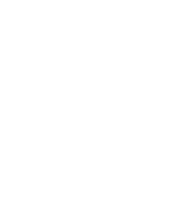 demodog logo model negru pe tricou