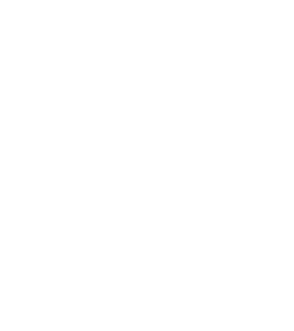 Crazy Cat Ladies are born in December model negru pe tricou
