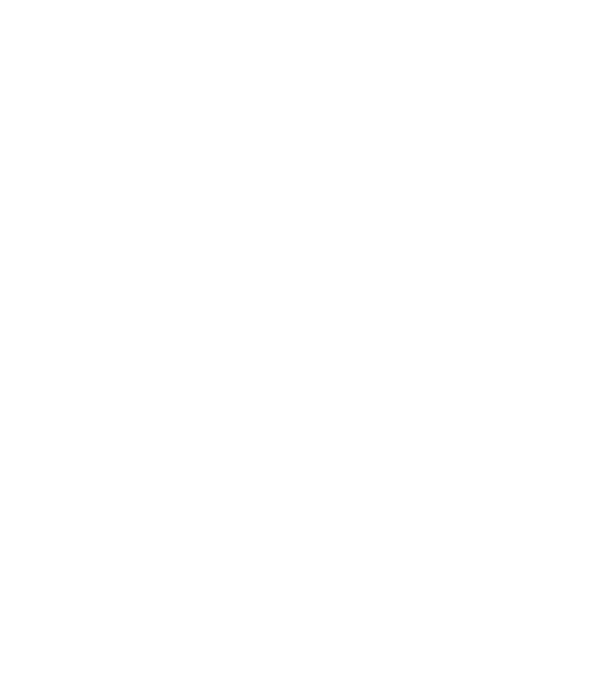 Crazy Cat Ladies are born in November model negru pe tricou