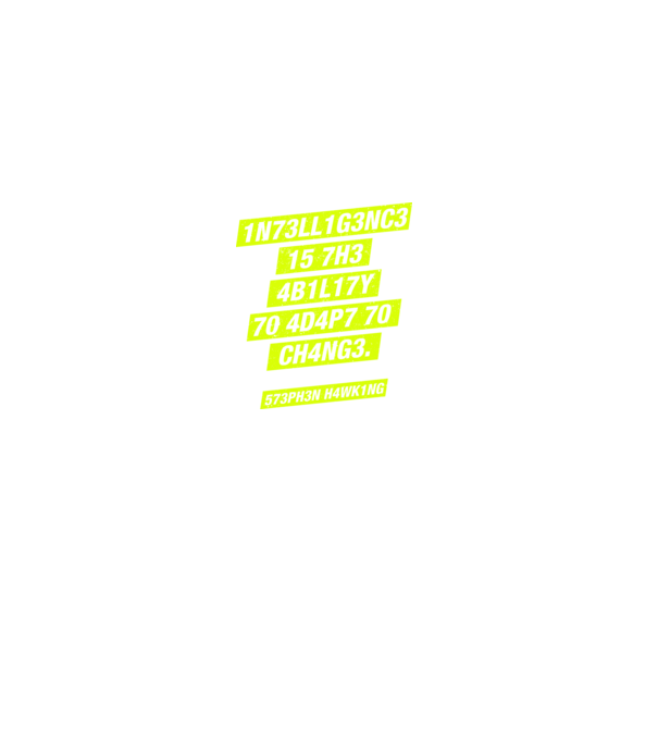 573PH3N H4WK1NG 03 model gri pe tricou