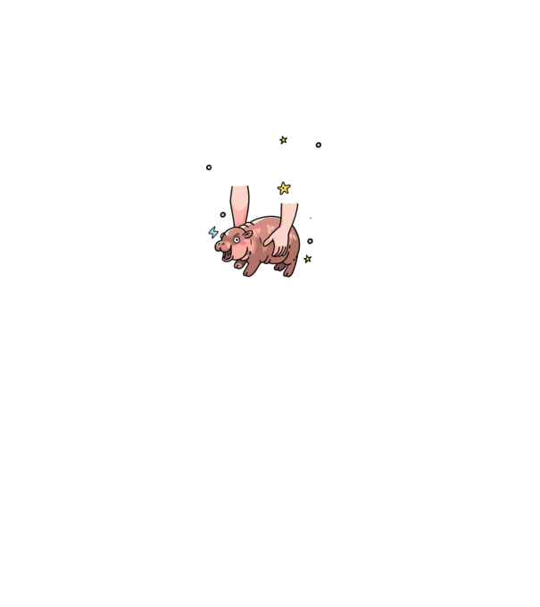 Nu mai pot muie... model gri pe tricou