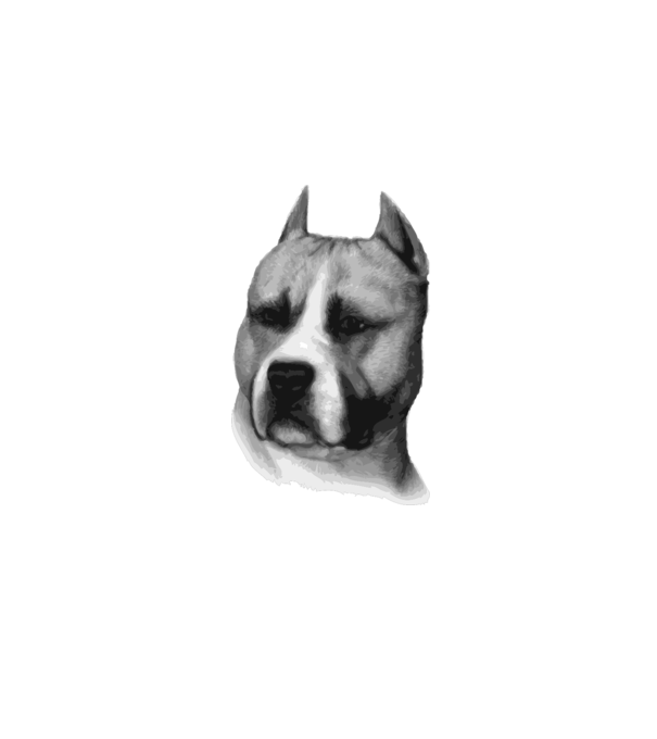 Staffordshire Terrier model alb pe tricou