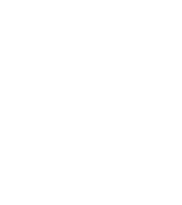 Crazy Cat Ladies are born in December model negru pe tricou